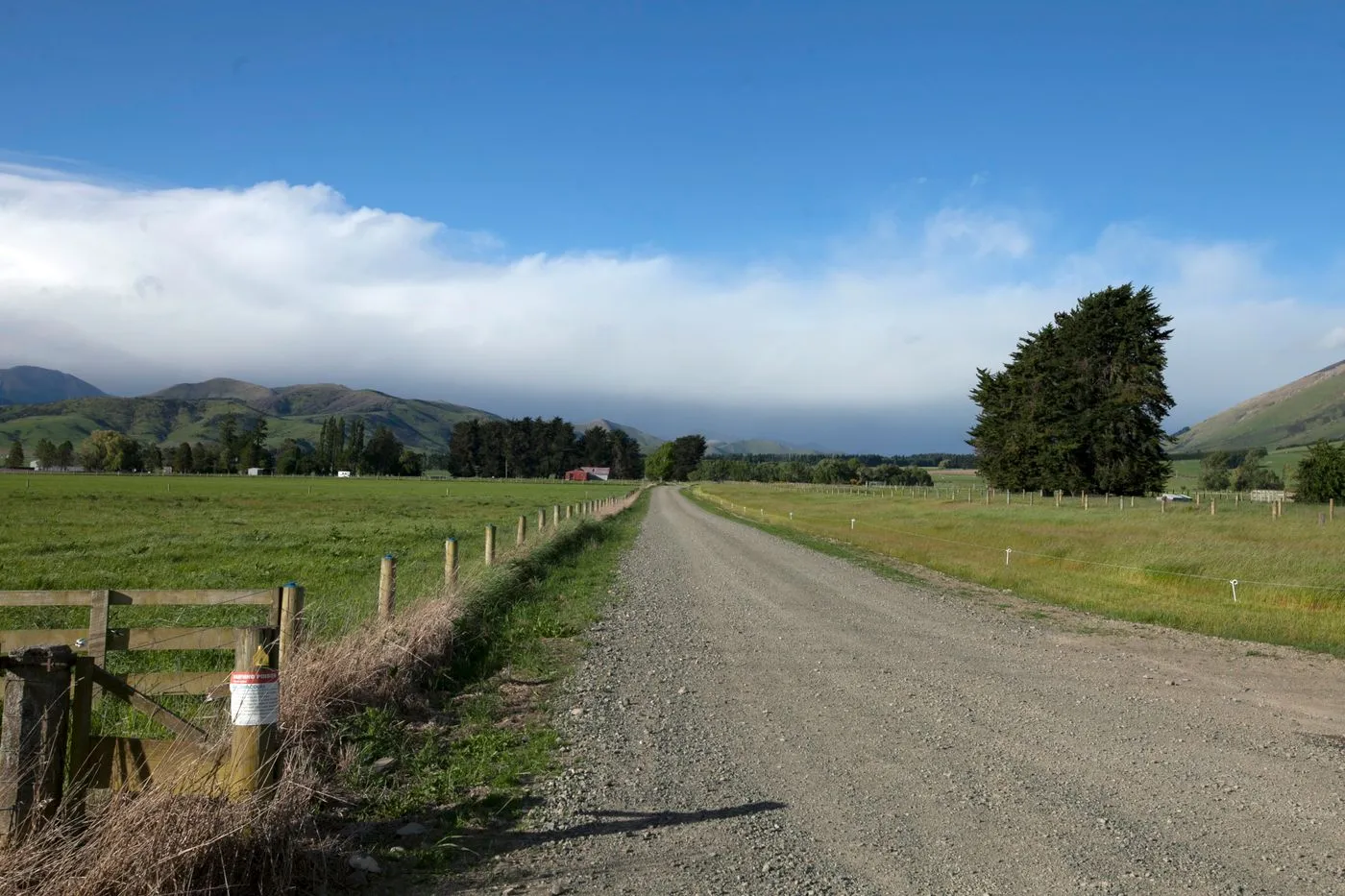 Freshly graded gravel driveway running between fenced pasture